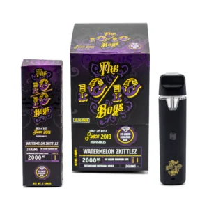 The 1010 disposable 2G vape